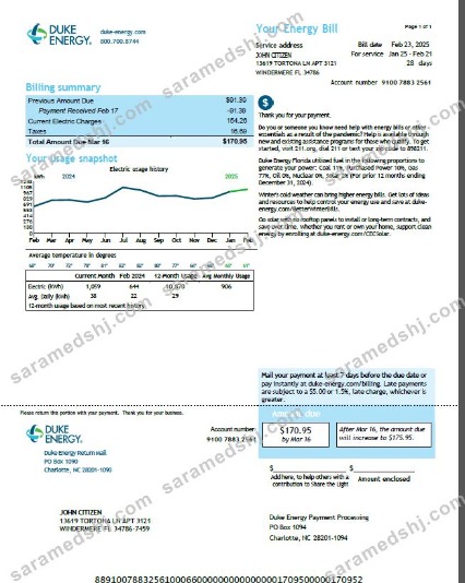 USA Duke Energy utility bill template in Word and PDF formats, version 5